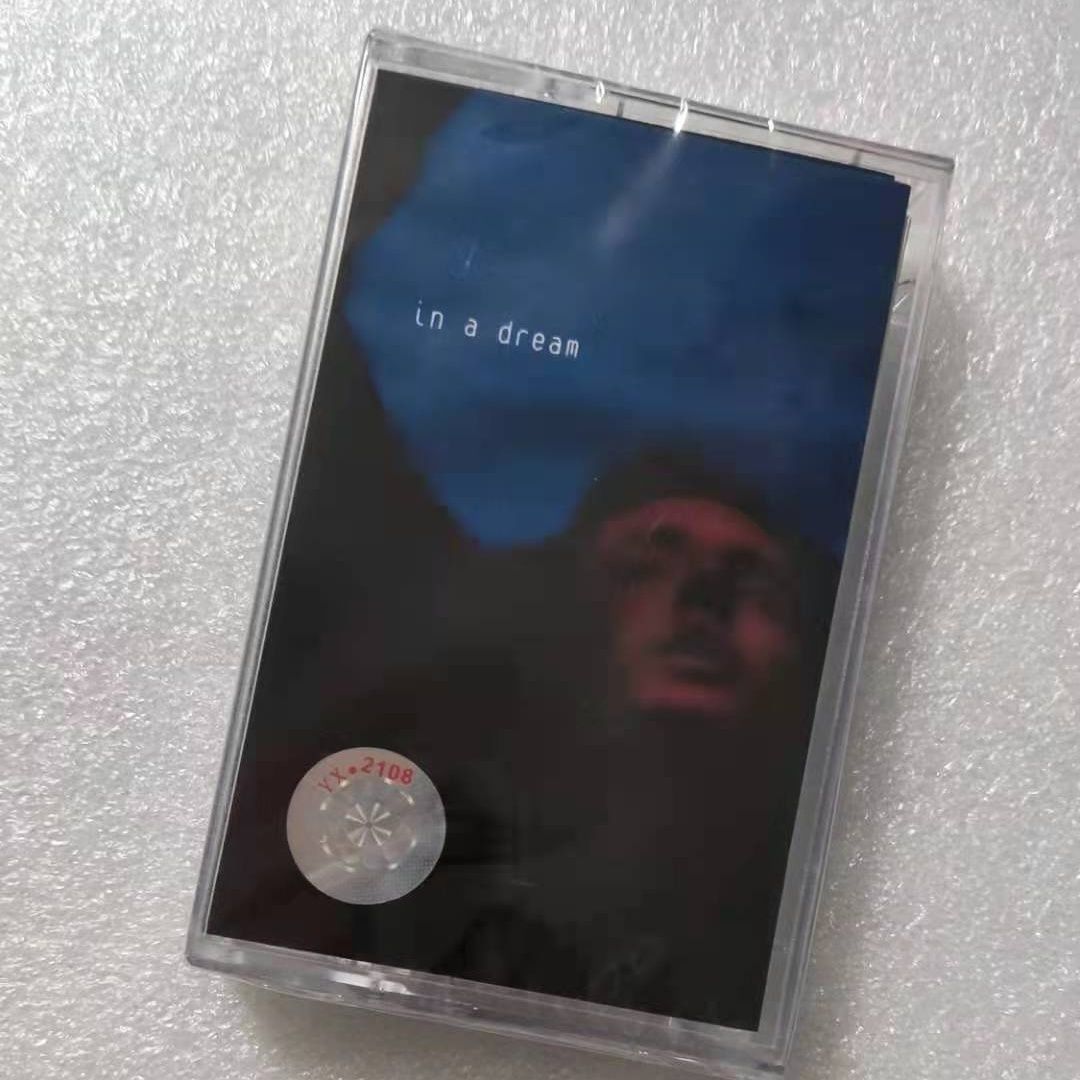 Troye Sivan In A Dream - Álbum - Electronic Gift avaliação e preço
