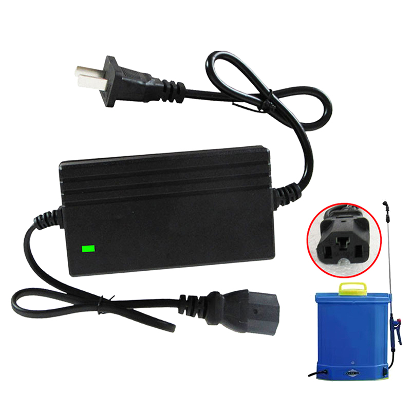 Carregador de Bateria de Lítio - Electro Gadgets avaliação e preço